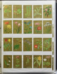 MATCHBOX LABELS: in 7 binders/folders  Original Dutch description: ...