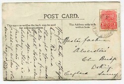 1912 postcard (Head of Cow Whale, Norfolk Island) addressed to Surrey ...