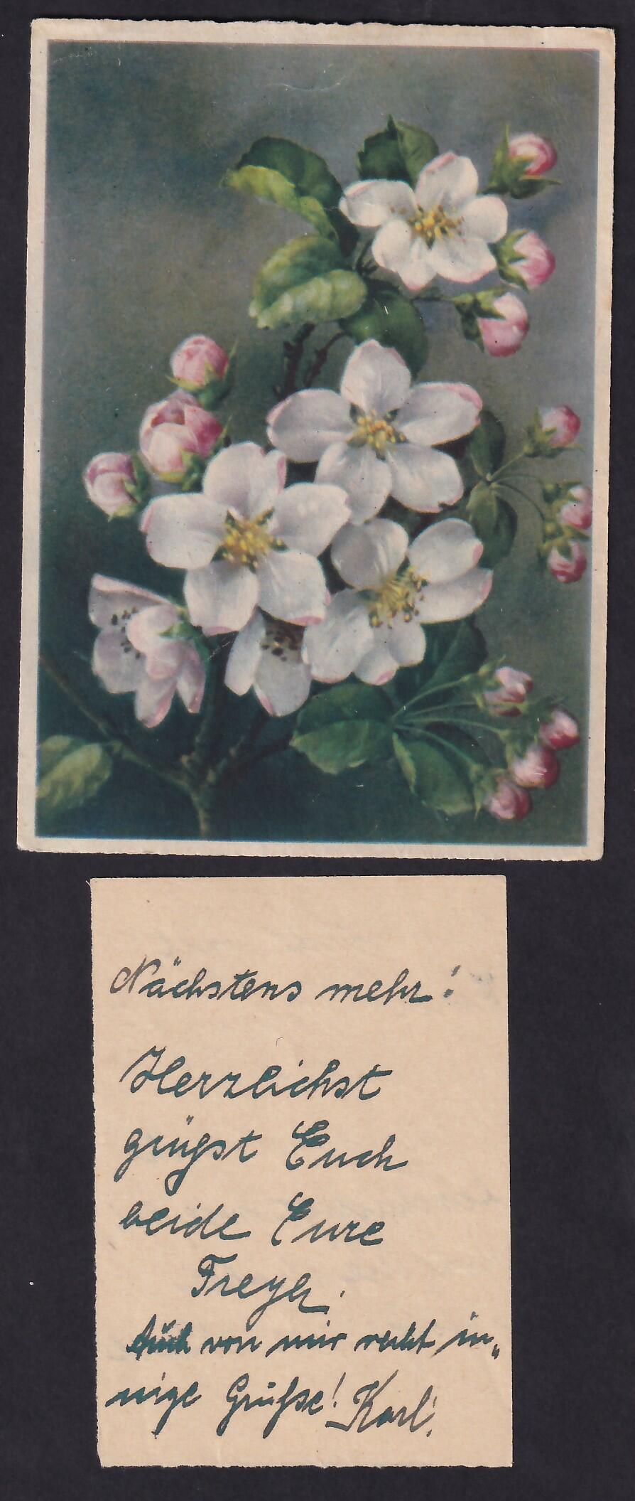 Image 3 for lot number 3139 for Hettinger - 4. Online-Live-Auktion