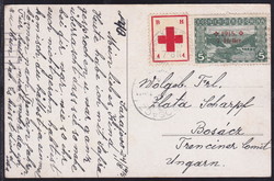 1920: Bosnia and Herzegowina Austria