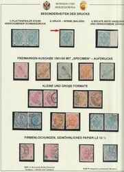 1925: Bosnien-Herzegowina (Republik)