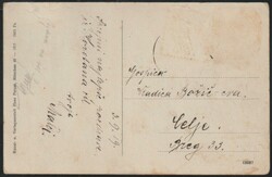 1919 Škofiče (Carinthia). General view and Inn Bürger. Mailed 1919 ...