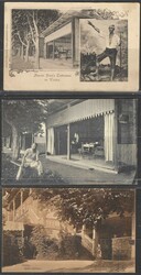 ca 1900/10 Bled, three picture postcards connected to Arnold Rikli, ...