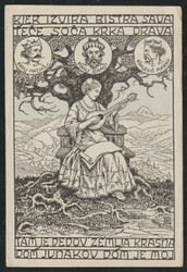 ca 1920 Gaspari, Sava, Soca, Krka, Drava. Declaration postcard Nr. ...