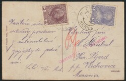 ca 1910 Krnica (Istria), group of people in front of villa Scabich, ...