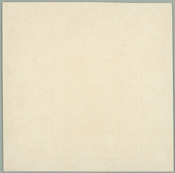 1989 NEPRIJATY NAVRH / Strnadel - Girl in costume, plate proof color ...