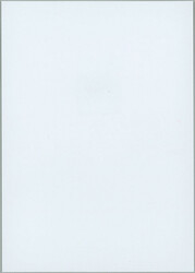 2025 PT43 var., 1. Anniv kvetnoveho revolt, memorial print - insert ...