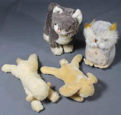 700.20: Teddies