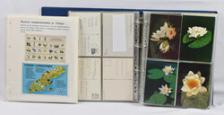 Swedish provinces, large collection of postcards featuring flowers, ...