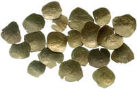 100.10: Multiple Lots - Ancient Coins
