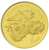 40.550: Europe - Hungary