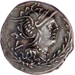 Lot Image