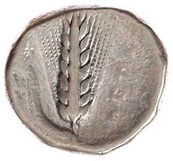Stater um 340/330 v. Chr Kopf des Leukippos r., links ...