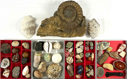 Sammlung von ca. 70 Mineralien, Fossilien, etc. U.a. große ...