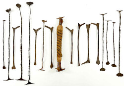 120.20: Premonetary forms of Money - Africa