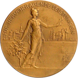 Bronze-Preismedaille Siegen 1933 auf die Jahrhundertfeier. Braune ...