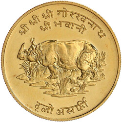 70.340: Asia (Including Near East) - Nepal