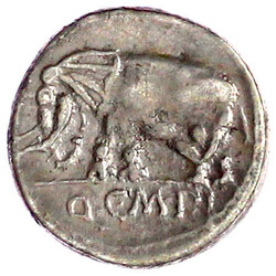 Denar 81 v. Chr. Pietas-Büste r., daneben Kranich/Q.C.M.P.I. Elefant ...