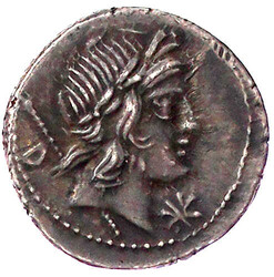 Denar 82 v. Chr. Apollokopf r. /P. CREPVSI. Reiter r. 3,82 g. ...