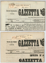 4745072: Österreich Zeitungsmarke1863