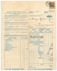 DDSG, 1904, PANCSOVA, hochinteressante und seltene VERSICHERUNGS ...