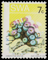 6120: South West Africa