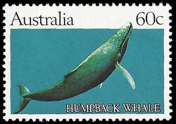 841035: Animals, Mammals, Whales, Dolphins