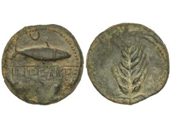 As. 120-20 a.C. ILIPENSE (ALCALÁ DEL RÍO, Sevilla). Anv.: Sábalo a ...