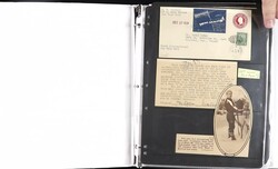 Alaska Postal History Collection, 23 covers plus 4 used & 4 mint post ...