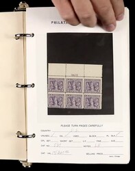 "Not Enough on Your Plate" Well-Organized Holding of Plate Block ...
