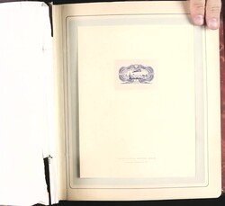France, Mostly Mint Collection in Vintage Album, 1849-1947, In a ...