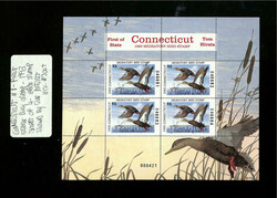 State Duck Starter Collection with many unusual items, consisting of ...