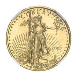2009 $10 American Gold Eagle Early Releases NGC MS70, NGC graded Mint ...