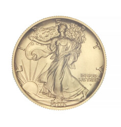 2016-W 50C Gold Walking Liberty Half Dollar PCGS SP70, 100th ...