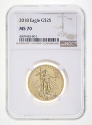 2018 $25 American Gold Eagle NGC MS70, NGC graded Mint State ...