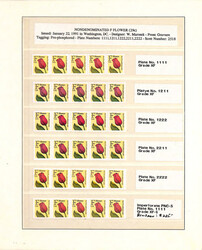 "Gimme Five!" Highly Complete PNC Collection in Strips of Five, ...