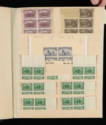 Classic Mint Plate Blocks and Blocks, 1893-1938, blocks including Nos ...