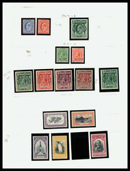 2480: Isole Falkland - Collections