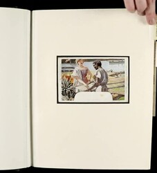 Cameroun, Exceptional Collection of Postal History, 1893-1917, They ...