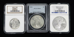 Group of (3) Graded Silver Coins: 1923 Peace Dollar, 1946 Walking ...