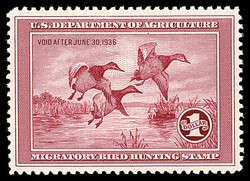 Federal Duck Stamp, 1935, $1 Canvasbacks (Scott RW2), gorgeous ...