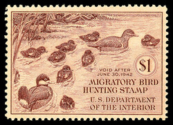 Federal Duck Stamp, 1941, $1 Ruddy Ducks (Scott RW8), o.g., never ...