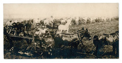 1898, 2¢ Trans-Miss., photo essay (Scott 286-E var), 131 x 64mm ...