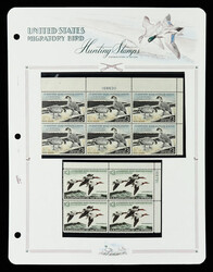 Very Complete Never Hinged Federal Duck Collection, 1943-2025 (Scott ...