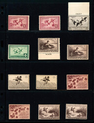"Fowl Play" All-Mint Mostly NH Holding of Ducks, 1935-77, You don't ...