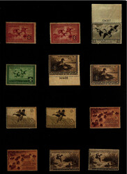 "Fowl Play" All-Mint Mostly NH Holding of Ducks, 1935-77, You don't ...
