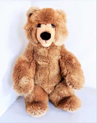 700.20: Teddies