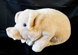 700.20: Teddies