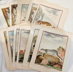 30: Watercolours, Drawings