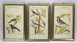 Georges-Louis LECLERC DE BUFFON (1707-1788), handcolorierte Gravuren, ...